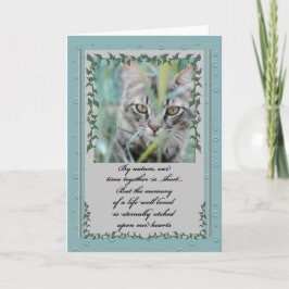 Sympathie Pet Verlies van kat Tabby in de gras Kaart