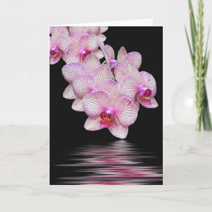 Sympathie roze orchidee water reflectie kaart