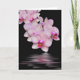 Sympathie Roze Orchideeën Black Reflection Kaart