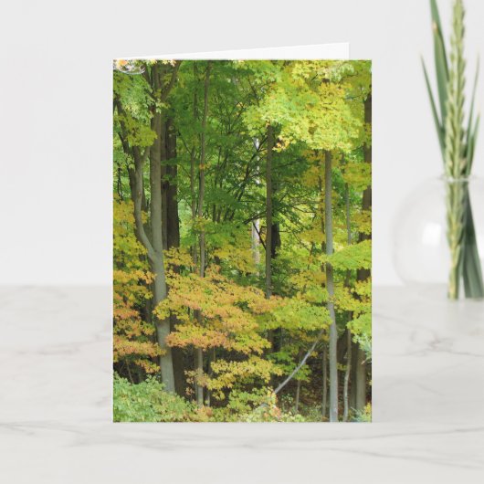 Sympathie - Rustig Bos Kaart (Voorkant)