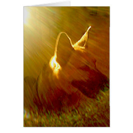 Sympathie Sunbeam German Shepherd Dog Poem Kaart