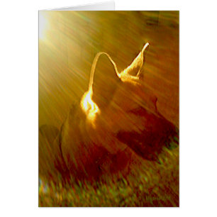 Sympathie Sunbeam German Shepherd Dog Poem Kaart