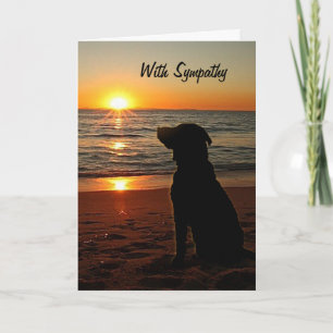 Sympathie - Sunset and Dog on Beach Kaart