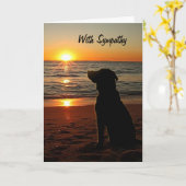 Sympathie - Sunset and Dog on Beach Kaart (Gele Bloem)