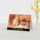 Sympathie Sweet Cavalier King Charles Spaniel Kaar Kaart (Gele Bloem)