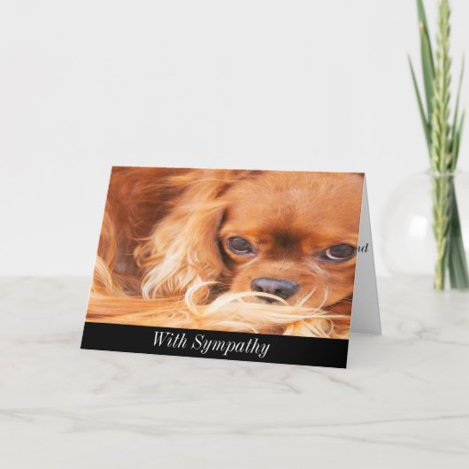 Sympathie Sweet Cavalier King Charles Spaniel Kaar Kaart (Voorkant)
