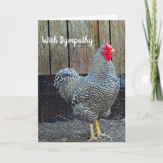 Sympathie van Chicken Black en White Rooster Kaart (Voorkant)