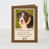 Sympathie van collie Pet Kaart (Voorkant)