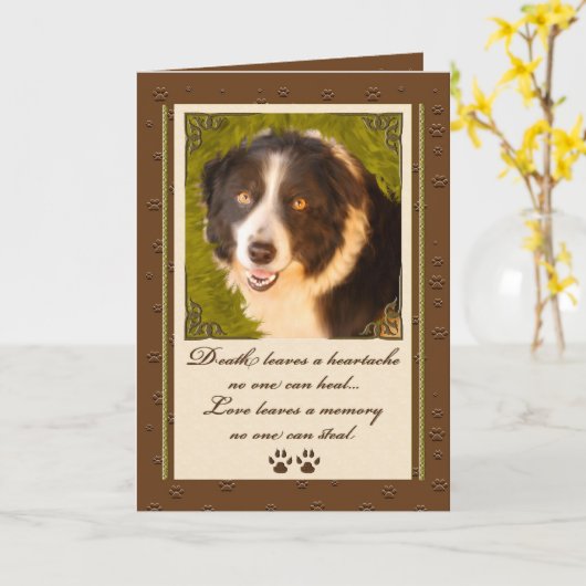 Sympathie van collie Pet Kaart (Gele Bloem)