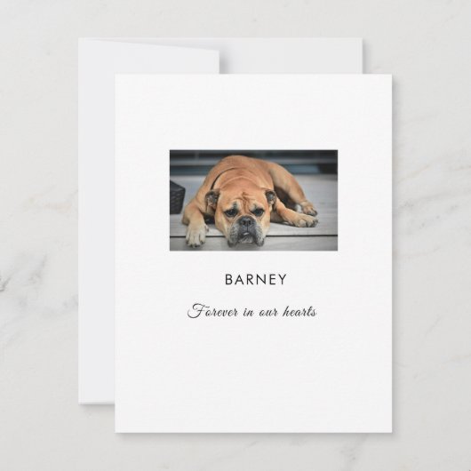 Sympathie van de patiënt Hartelijk dank voor uw re Bedankkaart (Achterkant)