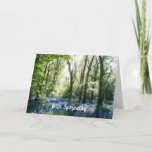 Sympathie van de voorjaarsjorenaar