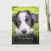 Sympathie van Elegant Pet verloren Bedankkaart (Voorkant)