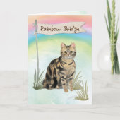 Sympathie van het kat van Tabby over de regenboogb Kaart (Voorkant)