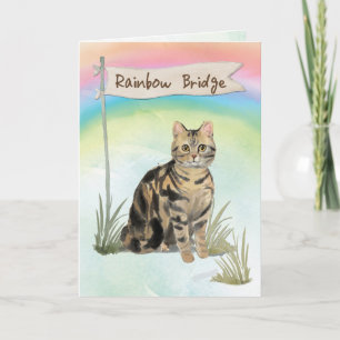 Sympathie van het kat van Tabby over de regenboogb Kaart