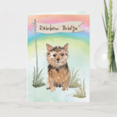 Sympathie van Norfolk Terrier Pet over regenboogbr Kaart (Voorkant)