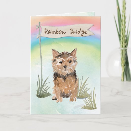 Sympathie van Norfolk Terrier Pet over regenboogbr Kaart (Voorkant)
