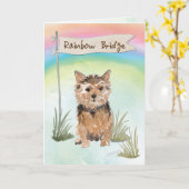 Sympathie van Norfolk Terrier Pet over regenboogbr Kaart (Gele Bloem)