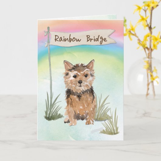 Sympathie van Norfolk Terrier Pet over regenboogbr Kaart (Gele Bloem)