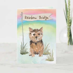Sympathie van Norfolk Terrier Pet over regenboogbr Kaart
