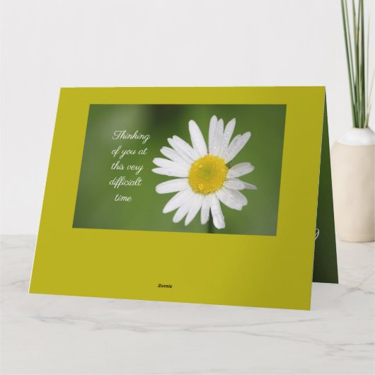 Sympathie van White Daisy Kaart (Achterkant)