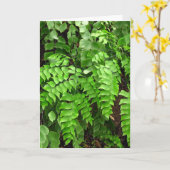 Sympathie - varens kaart (Gele Bloem)