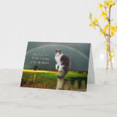 Sympathie - Verlies van een kat Kaart (Gele Bloem)