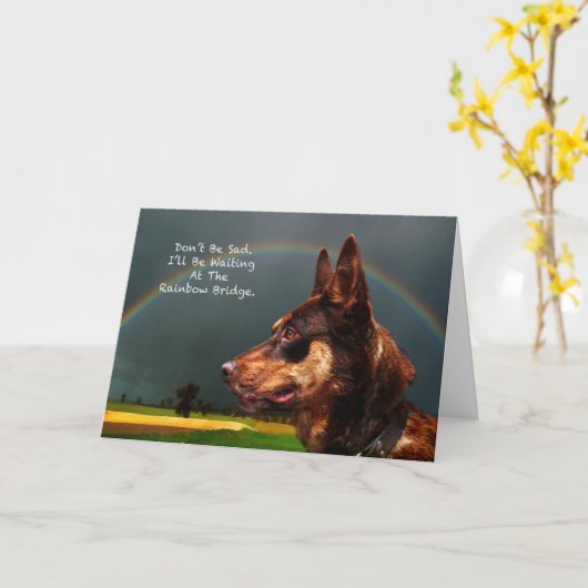 Sympathie - Verlies van hond Kaart (Gele Bloem)