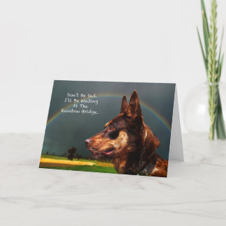 Sympathie - Verlies van hond Kaart
