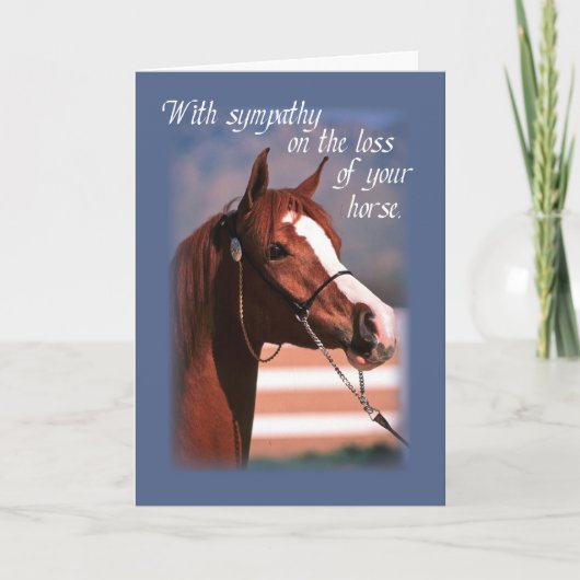 Sympathie Verlies van Paard, blauw Kaart (Voorkant)