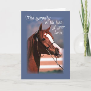 Sympathie Verlies van Paard, blauw Kaart
