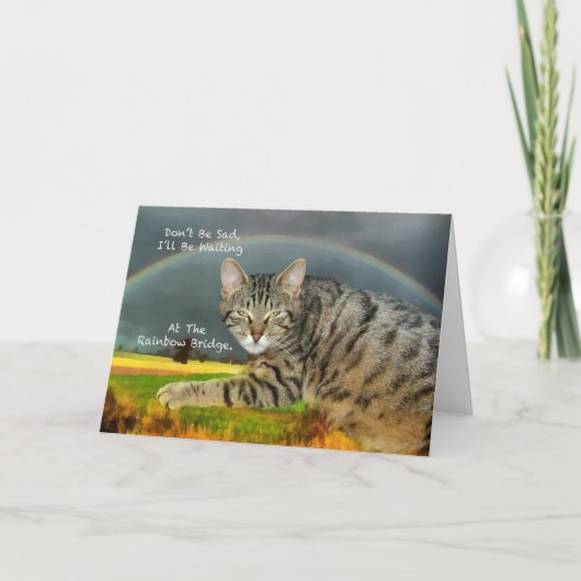 Sympathie - Verlies van Pet Tabby Cat Kaart (Voorkant)