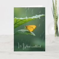 Sympathie Vlinder op een groen blad in de regen