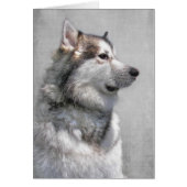 sympathie voor Alaskan Malamute Pet (Voorkant)