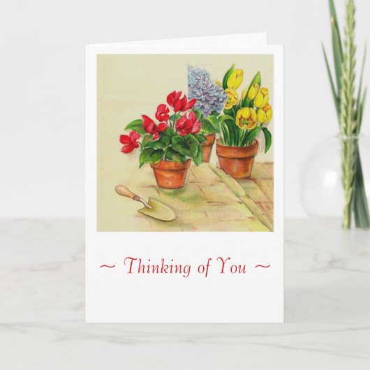 sympathie voor bloempotten kaart (Voorkant)