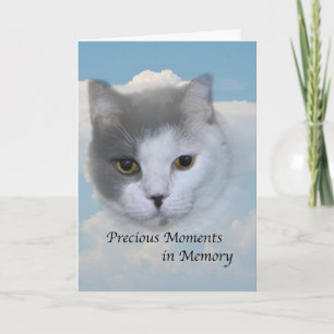 Sympathie voor de dood van de kat kaart