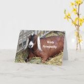  sympathie voor de foto van bruine konijnen kaart (Gele Bloem)