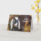 sympathie voor de foto van het  koninkrijk kaart (Gele Bloem)