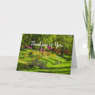 Sympathie voor de Kaart van de doodstraf