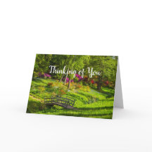 Sympathie voor de Kaart van de doodstraf