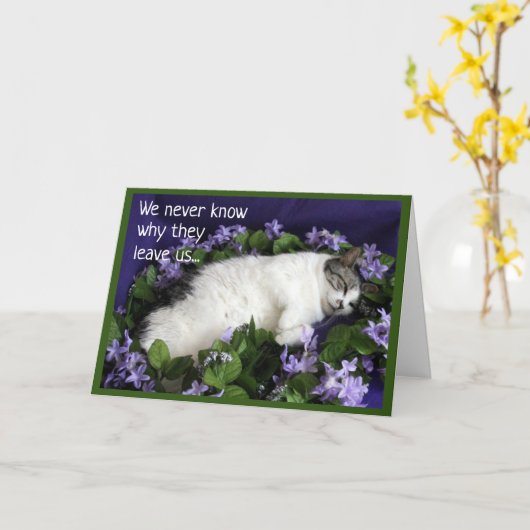 Sympathie voor de kat kaart (Gele Bloem)