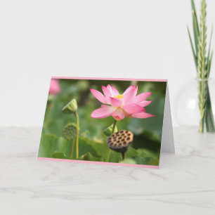 sympathie voor de lotus kaart
