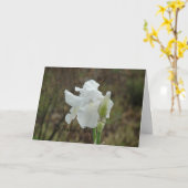 Sympathie voor de witte iris kaart (Gele Bloem)