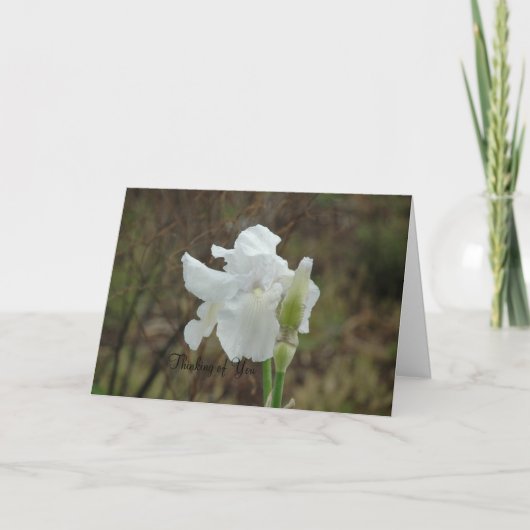 Sympathie voor de witte iris kaart (Voorkant)