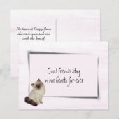 Sympathie voor dolladolle Cat Pet Briefkaart (Voorkant / Achterkant)