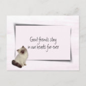 Sympathie voor dolladolle Cat Pet Briefkaart (Voorkant)