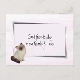 Sympathie voor dolladolle Cat Pet Briefkaart