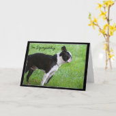 Sympathie voor het Boston Terrier wenskaart Kaart (Gele Bloem)