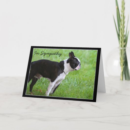 Sympathie voor het Boston Terrier wenskaart Kaart (Voorkant)