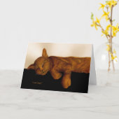 Sympathie voor het verlies van een kat kaart (Gele Bloem)