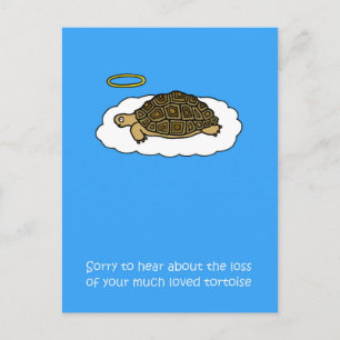 Sympathie voor het verlies van Pet Tortoise Briefkaart